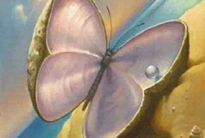 164