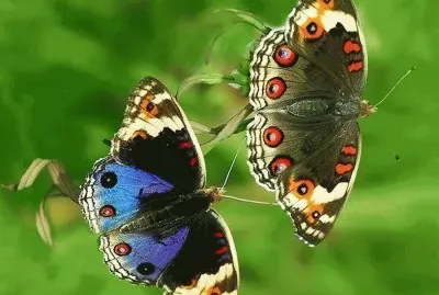 more of nature 's beauty