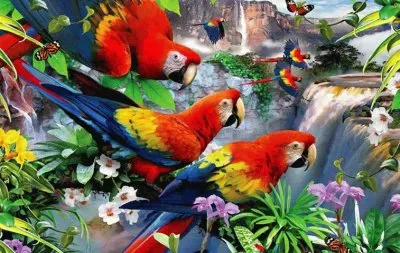 bando de araras jigsaw puzzle