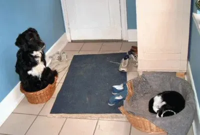 el que se fue a Sevilla...