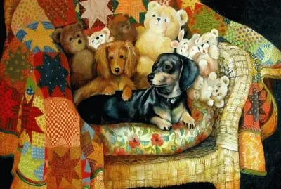 animais