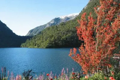 Puerto Blest. RÃ­o Negro. Argentina