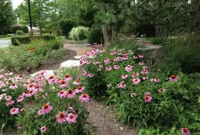 פאזל של Frankfort Illinois
