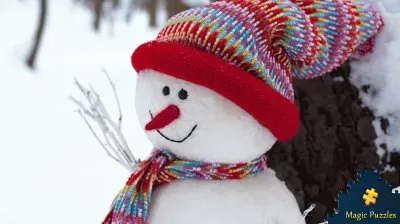 various photos jigsaw puzzle