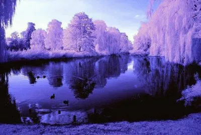 paisagem