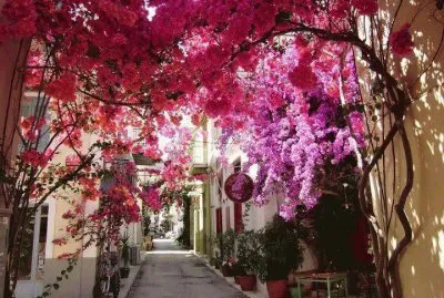 paisaje jigsaw puzzle