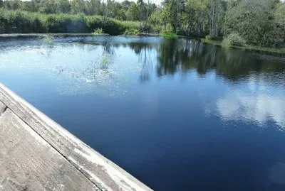 Lille Mosse nature reserve