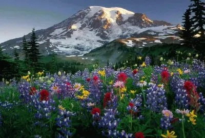 naturaleza