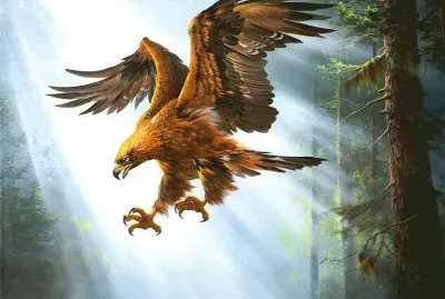 Ã¡guia jigsaw puzzle