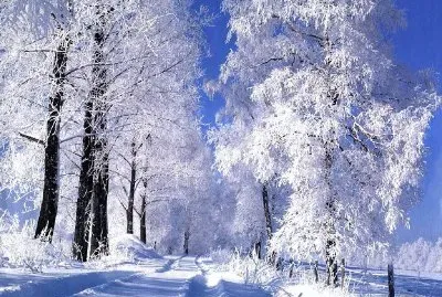 fondo con nieve