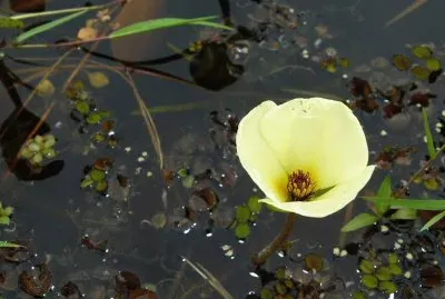Tomada en Formosa. Argentina