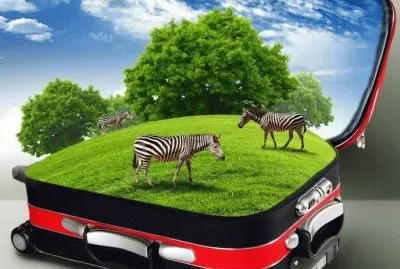 Dibujo de paisaje con cebras adentro de una valija