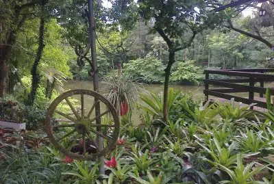 Vegetaçao Gaucha - RS