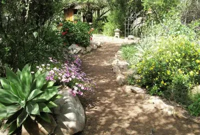 NÂº 596