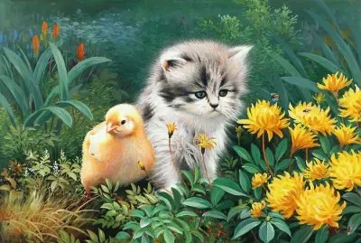 gatinho