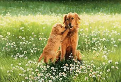 amigos