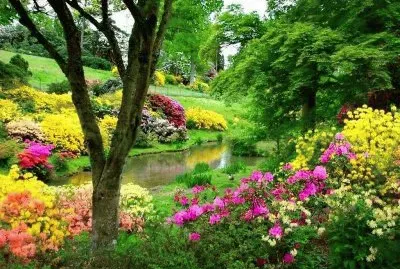 jardim