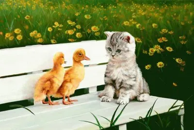 amigos
