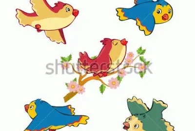 pajaros
