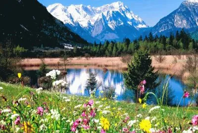 primavera jigsaw puzzle