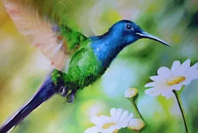 beija flor jigsaw puzzle