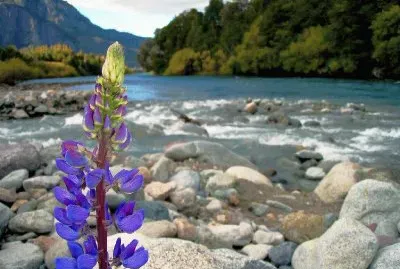 FutaleufÃº. Chubut. Argentina