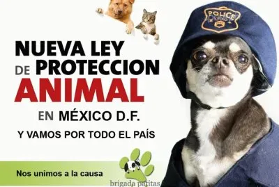 LEY POSITIVA.