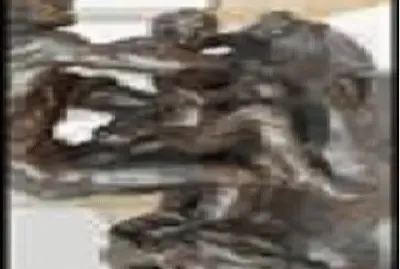 169