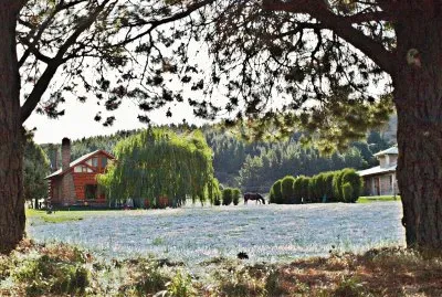 Tomada en Chubut. Argentina jigsaw puzzle