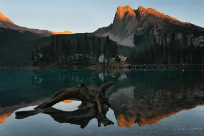 NÂº 531 jigsaw puzzle