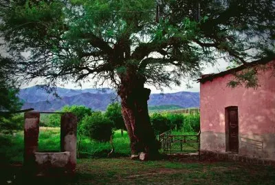 Tomada en Chaquiago. Catamarca. Argentina jigsaw puzzle