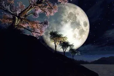 paisagem