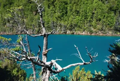 RÃ­o Puelo. Chubut. Argentina