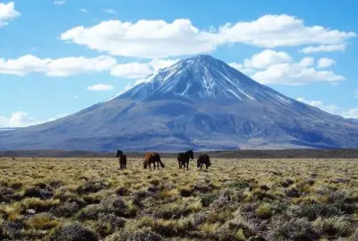 VolcÃ¡n Tromen. NeuquÃ©n. Argentina jigsaw puzzle