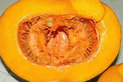 CALABAZA.