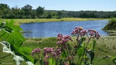 פאזל של Embalse Sumampa. Catamarca. Argentina