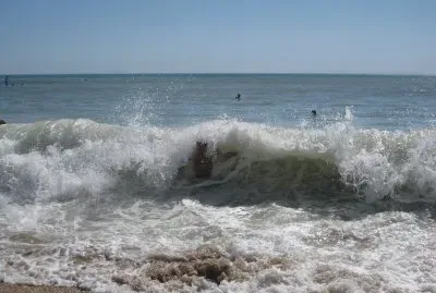 Ile de RÃ© jigsaw puzzle