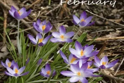 feb6