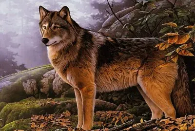 lobo