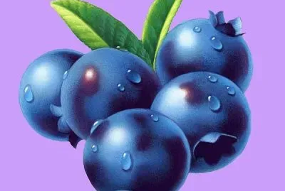 Fruit by Robin Moline