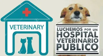 JUSTA INVITACIÃ“N. jigsaw puzzle