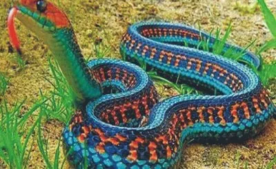 MEXICANA PERDIDA POR 78 AÃ‘OS.