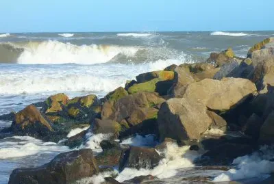 Tomada en la costa atlÃ¡ntica bonaerense. Argentina