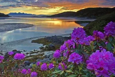 פאזל של NÂº 536