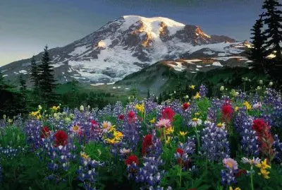 paisajes