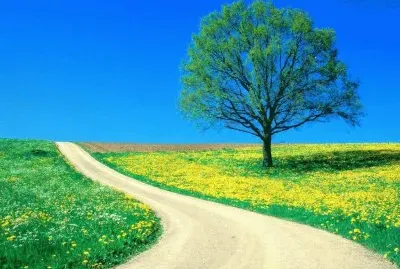 paisajes