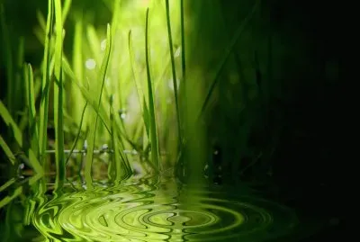 פאזל של paisajes