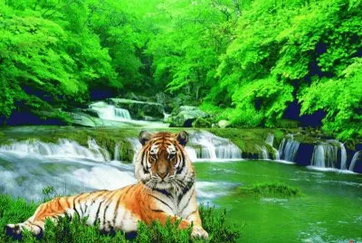 paisajes