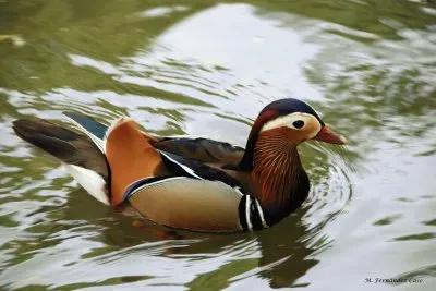 paisajes jigsaw puzzle