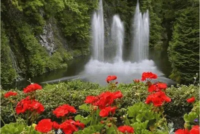 paisajes jigsaw puzzle